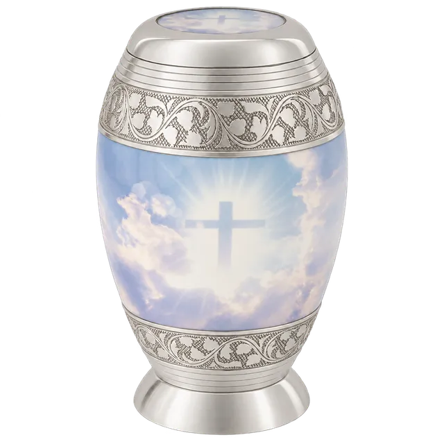 Nirvana Sky Cross category example